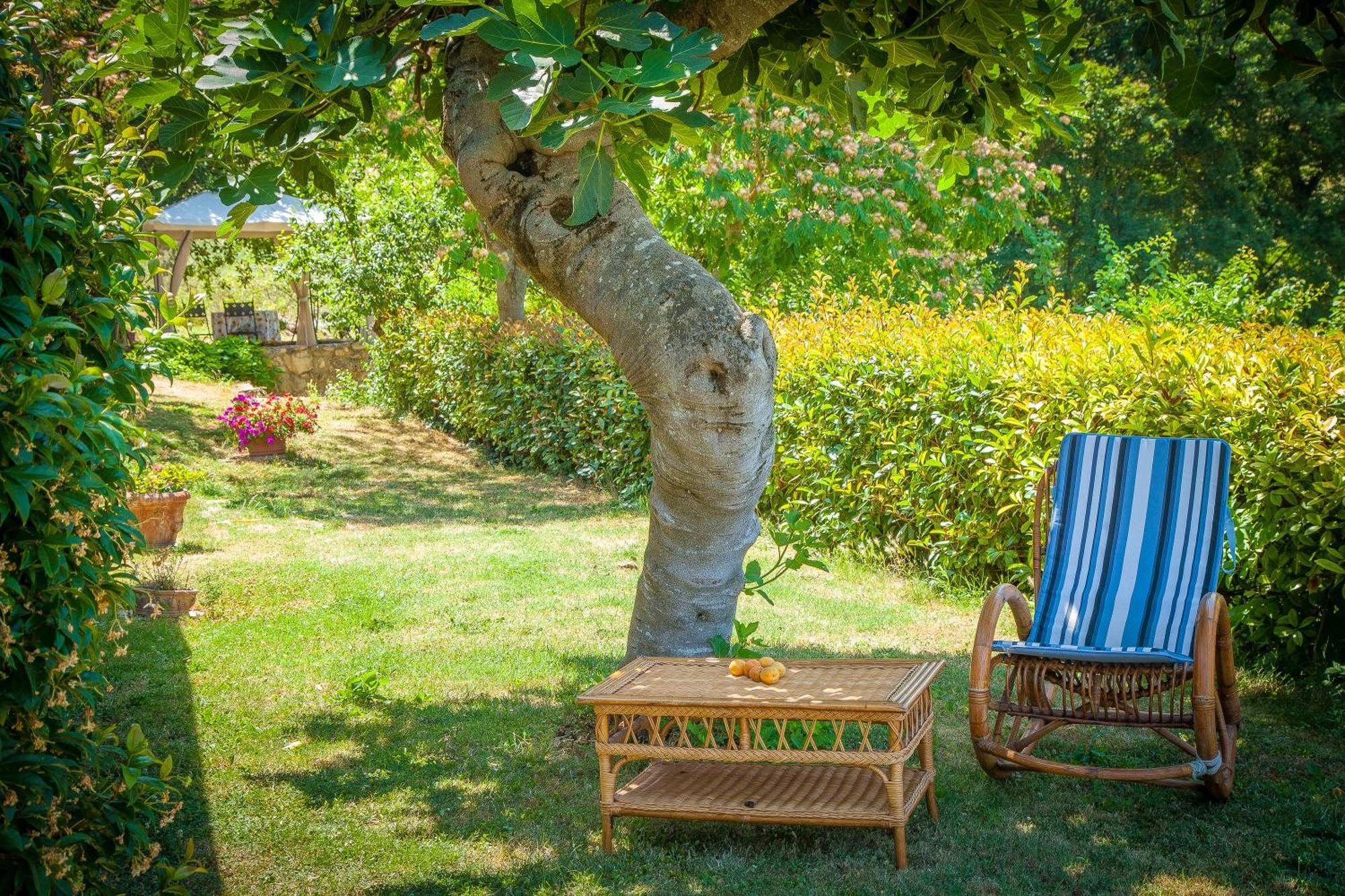 Agriturismo Bio Tra Cielo E Terra Frontignano Bagian luar foto
